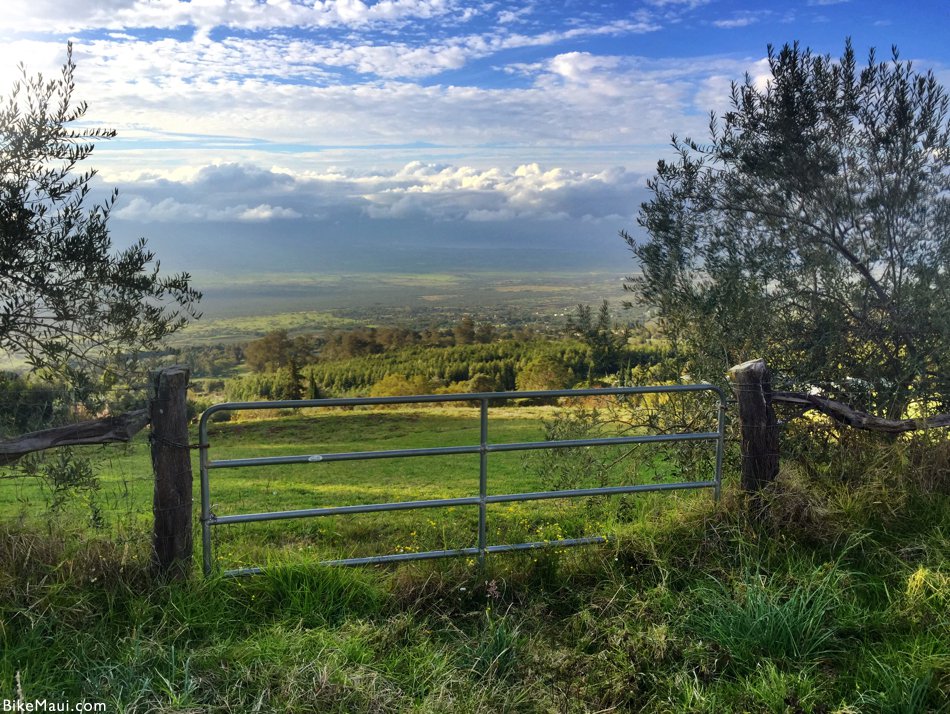 farmland Maui