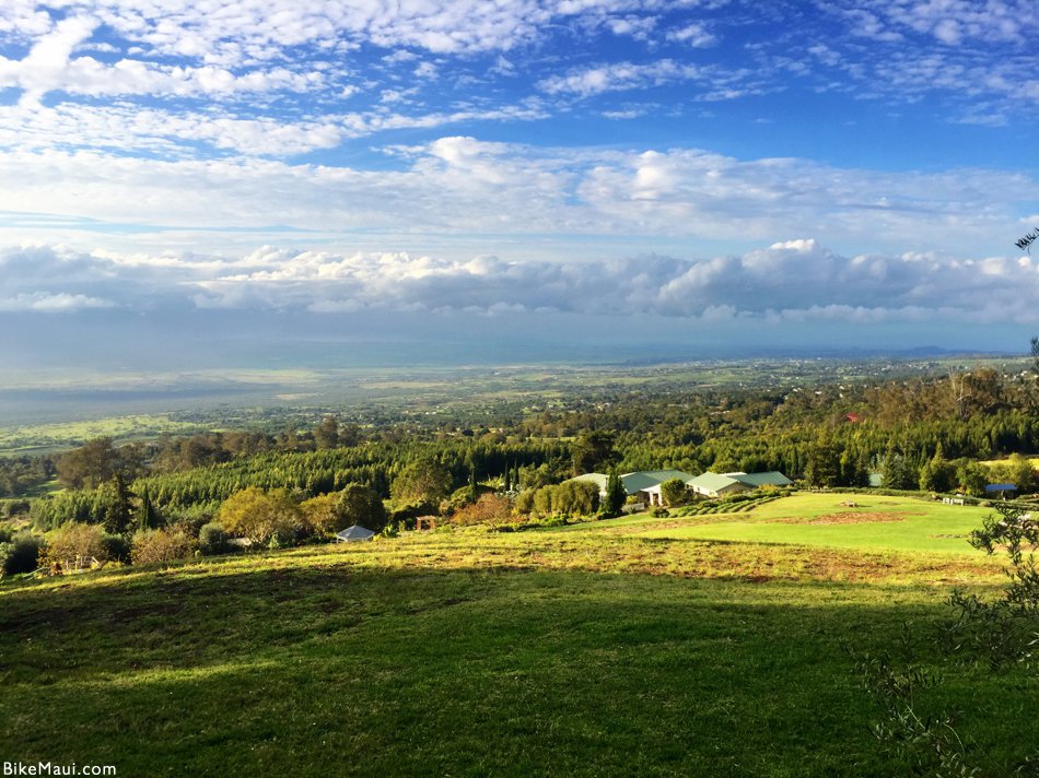 upcountry Maui