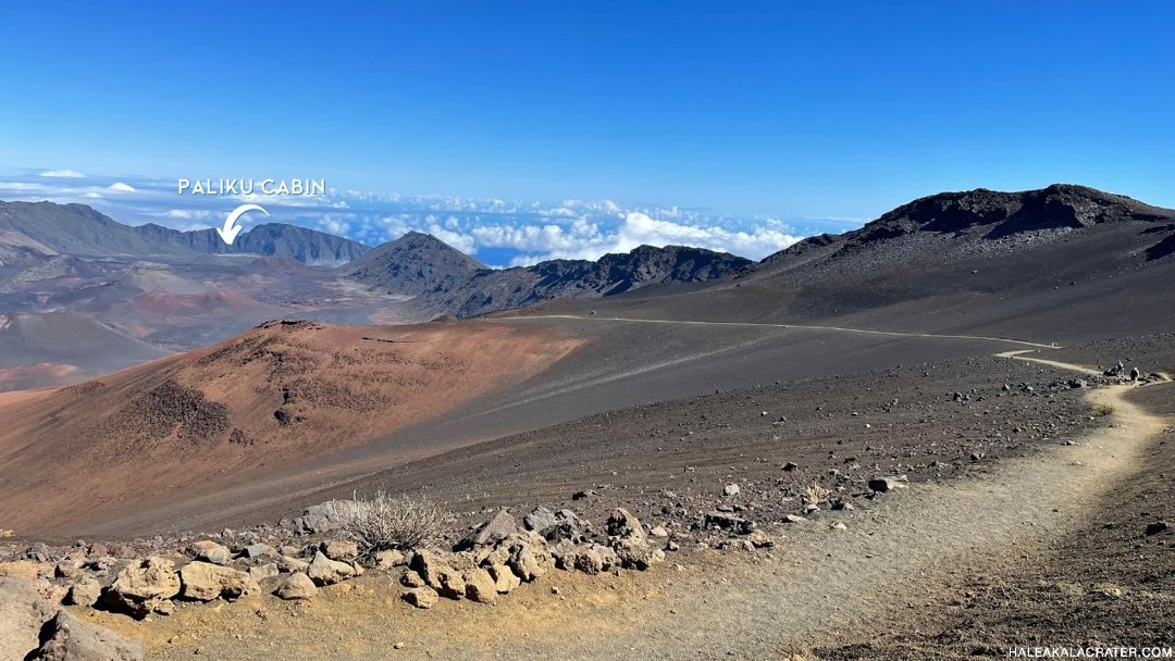 Mighty Mules of Maui - Haleakalā National Park (U.S. National Park