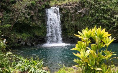 Safe Spots To Stop On The Road To Hana